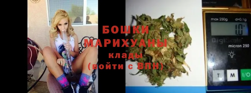 площадка наркотические препараты  Петровск  Каннабис White Widow  гидра маркетплейс 